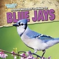 Cover: A Bird Watcher's Guide to Blue Jays - Gareth Stevens Publishing