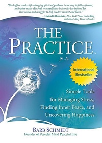 Enlarge image Cover: The Practice - Health Communications