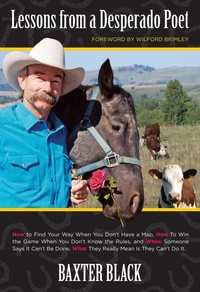 Enlarge image Cover: Lessons from a Desperado Poet - TwoDot Books
