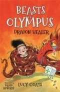 Cover: Dragon Healer - Piccadilly Press