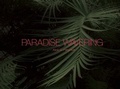 Cover: Paradise Wavering - Daylight Books