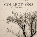 Cover: Collections - Daylight Books