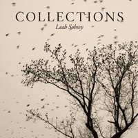 Enlarge image Cover: Collections - Daylight Books