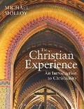 Cover: The Christian Experience - Bloomsbury Academic