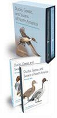 Abbildung von: Ducks, Geese, and Swans of North America - Johns Hopkins University Press