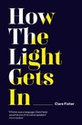 Cover: How the Light Gets in - Influx Press