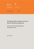 Cover: Big results now? - German Institute of Development and Sustainability (IDOS) gGmbH