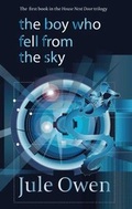 Cover: The Boy Who Fell from the Sky - Jule P Owen