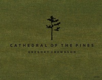 Abbildung von: Cathedral of the Pines - Aperture