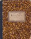 Cover: Die Kriegstageb&uuml;cher des Nathan Wolf aus den Jahren 1914-1917 - Hegau-Geschichtsverein
