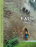 Cover: falk. abgang - Brighton Verlag GmbH