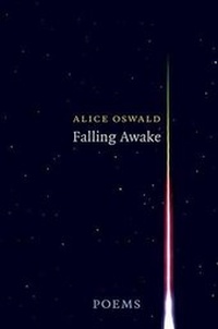 Enlarge image Cover: Falling Awake - WW Norton & Co
