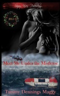 Cover: Meet Me Under the Mistletoe - Sassy Vixen Publishing LLC