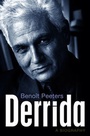 Cover: Derrida - Polity Press