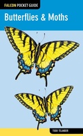 Cover: Butterflies & Moths - Falcon Press Publishing