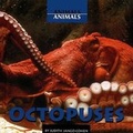 Cover: Octopuses - Cavendish Square Publishing