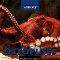 Enlarge image Cover: Octopuses - Cavendish Square Publishing
