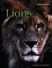 Enlarge image Cover: Lions - Cavendish Square Publishing