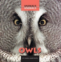 Enlarge image Cover: Owls - Cavendish Square Publishing