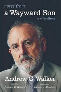 Enlarge image Cover: Notes from a Wayward Son - Cascade Books