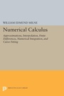 Cover: Numerical Calculus - Princeton University Press
