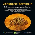 Cover: Zeitkapsel Bernstein - Lebewesen vergangener Welten - Pfeil, F