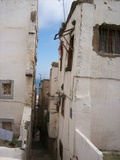 Cover: Algerien - Kinzelbach, Donata