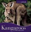 Cover: Kangaroos - Cavendish Square Publishing