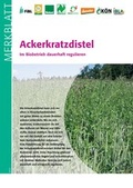 Cover: Ackerkratzdistel - Forschungsinstitut f&uuml;r biologischen Landbau FIBL