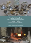 Cover: Fragile Splendour | Narin Pirilti - Habelt, R