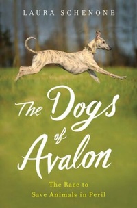 Enlarge image Cover: The Dogs of Avalon - WW Norton & Co