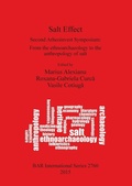Cover: Salt Effect - BAR Publishing