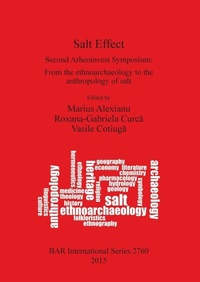 Enlarge image Cover: Salt Effect - BAR Publishing