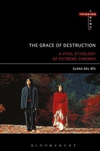 Enlarge image Cover: The Grace of Destruction - Bloomsbury Academic USA