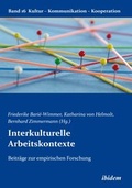 Cover: Interkulturelle Arbeitskontexte - ibidem