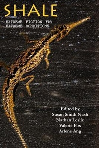 Enlarge image Cover: Shale - Texture Press
