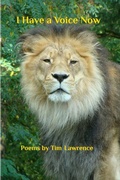 Cover: I Have a Voice Now - Blurb