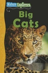 Enlarge image Cover: Big Cats - Windmill Books