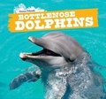 Cover: Bottlenose Dolphins - PowerKids Press