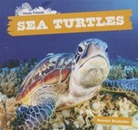 Enlarge image Cover: Sea Turtles - PowerKids Press