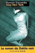 Cover: Sexy New York - Fayard
