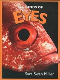 Enlarge image Cover: All Kinds of Eyes - Marshall Cavendish