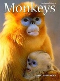 Cover: Monkeys - Cavendish Square Publishing