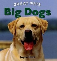 Enlarge image Cover: Big Dogs - Cavendish Square Publishing