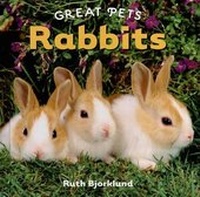 Enlarge image Cover: Rabbits - Cavendish Square Publishing