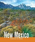 Cover: New Mexico - Cavendish Square Publishing
