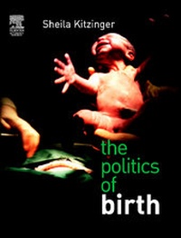 Enlarge image Cover: The Politics of Birth - Books for Midwives
