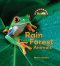 Cover: Rain Forest Animals - Cavendish Square Publishing