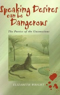 Cover: Speaking Desires can be Dangerous - Polity Press