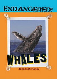 Enlarge image Cover: Whales - Cavendish Square Publishing